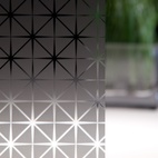 3M™ Fasara™ Astral Silver SH2CSAS
