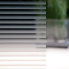 3M™ Fasara™ Seattle Fine SH2DGST-F