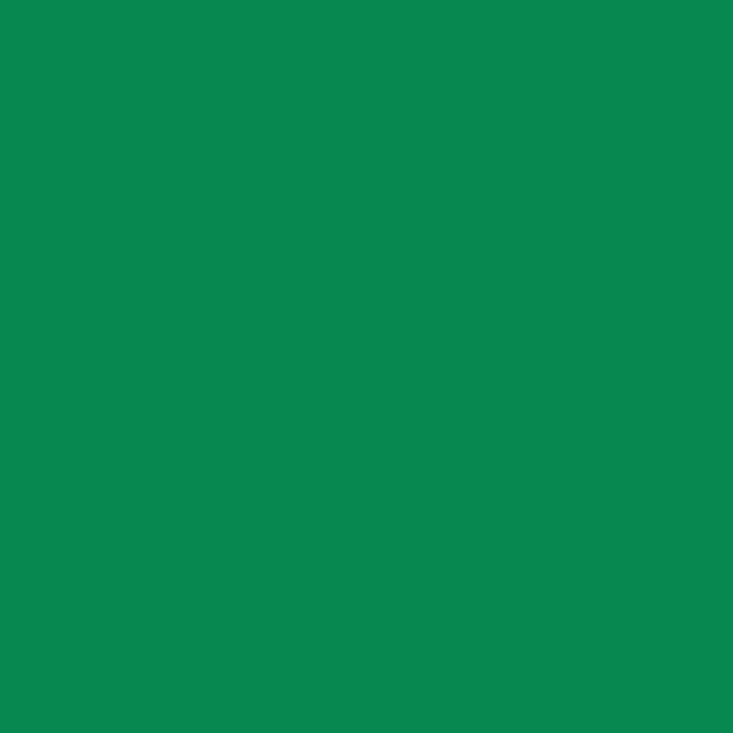 KA EZ-Color Gloss Medium Green