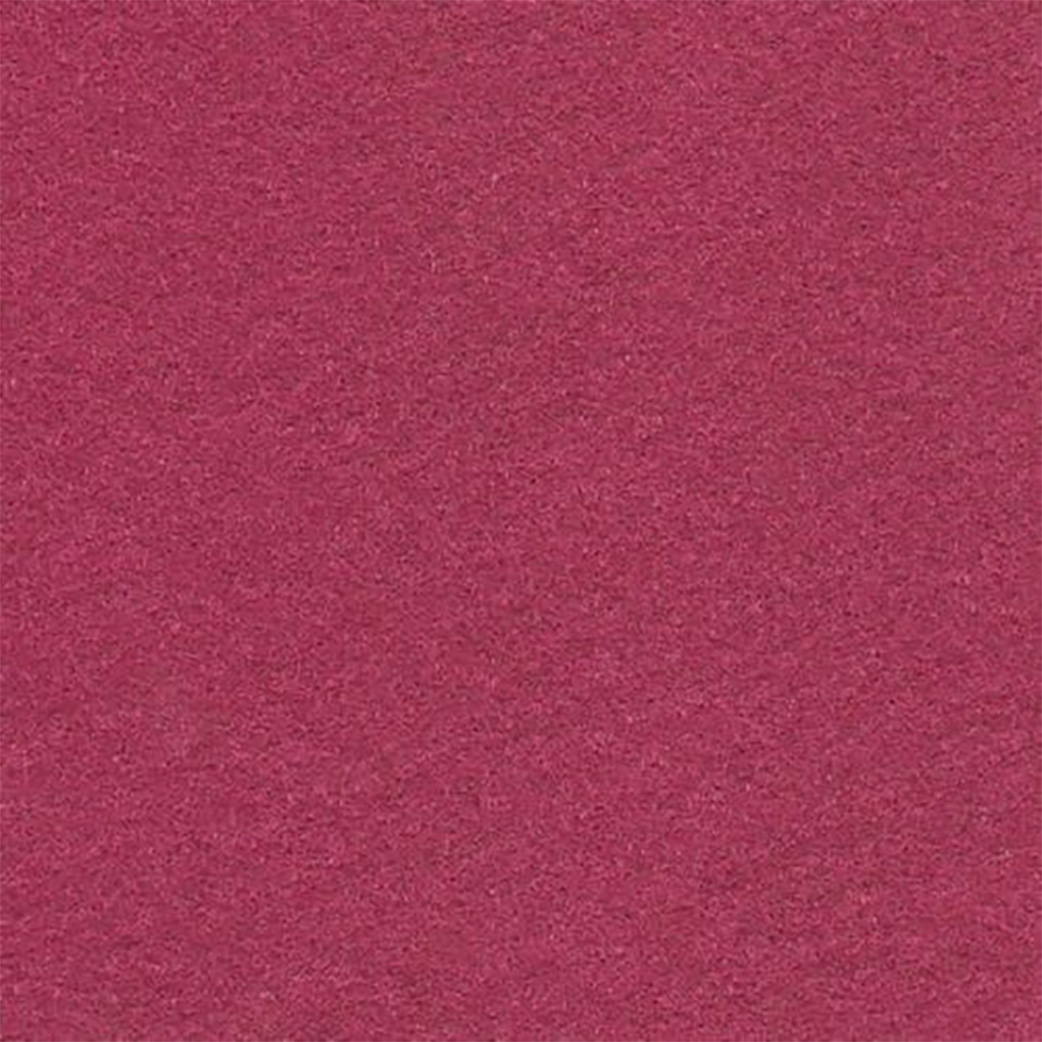 Expo Color | Raspberry