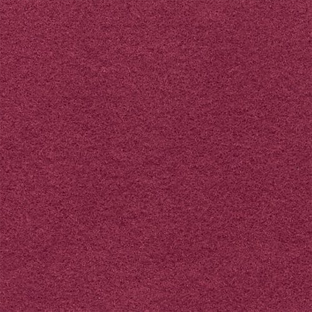 Expo Color | Petunia