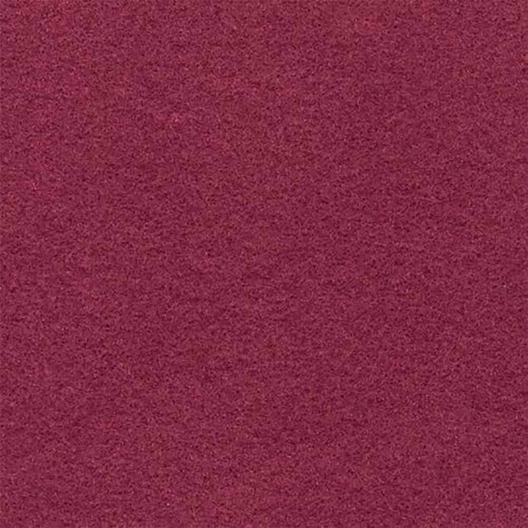 Expo Color | Petunia