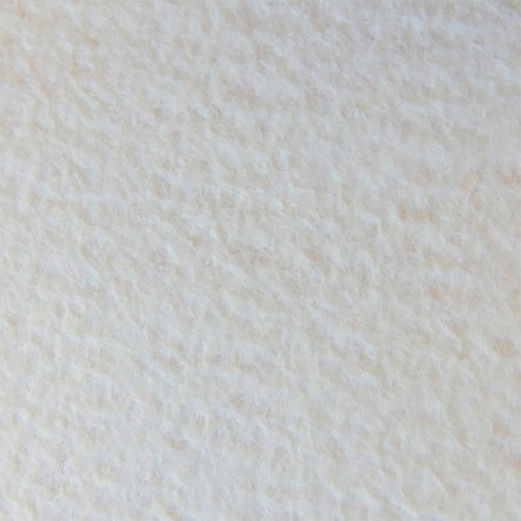 Expo Color | Vit