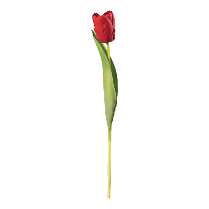 Tulip Red 36cm