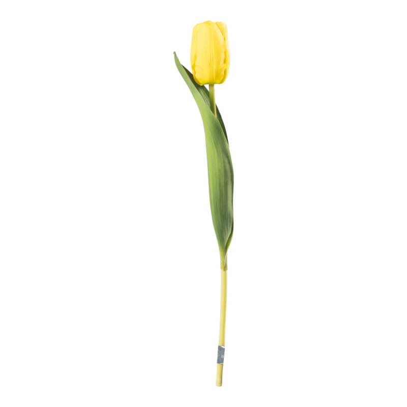 Tulip Yellow 36cm