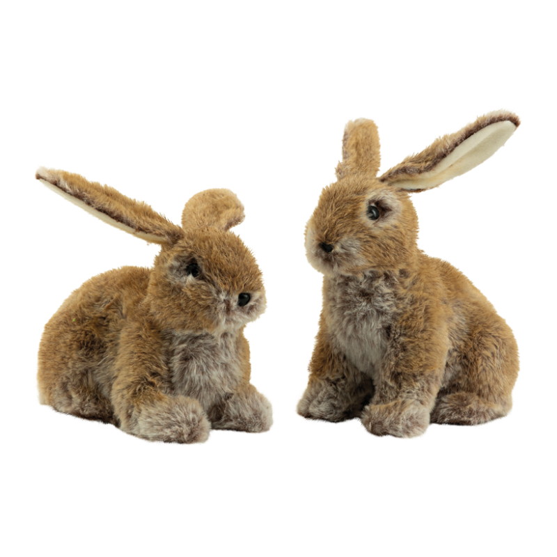Kaniner 23x20cm sittandes & liggandes brun