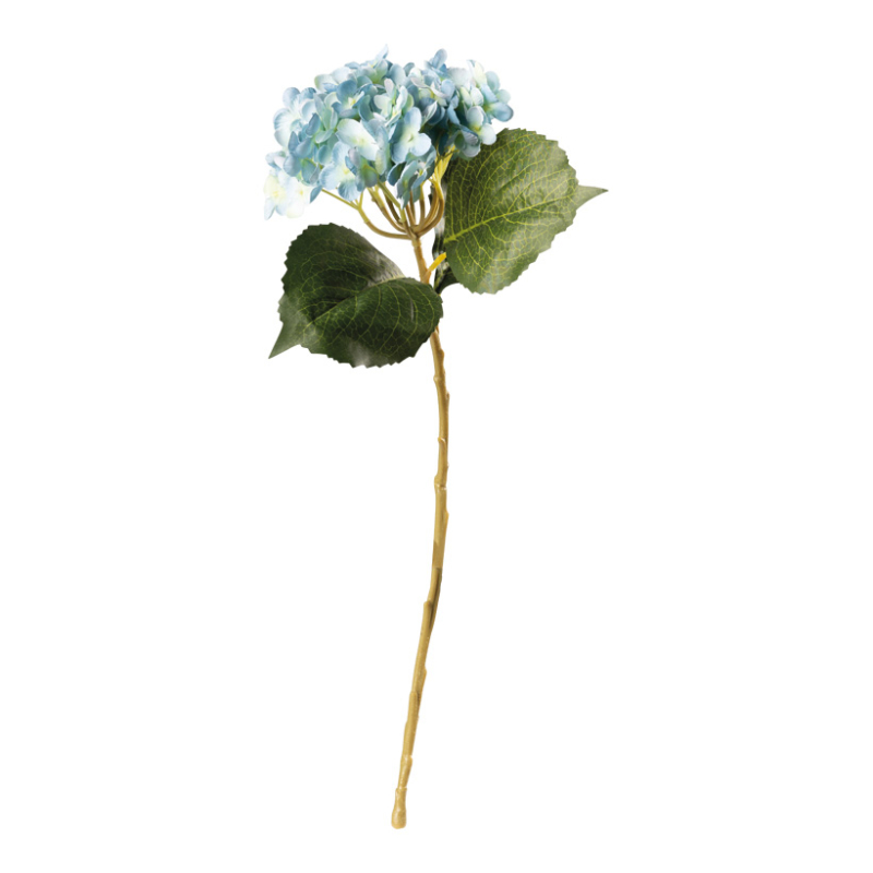 Hortensia 50cm blå