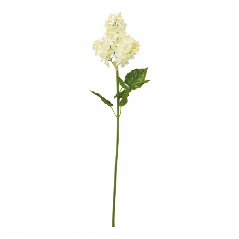 Lilac flower White 70cm