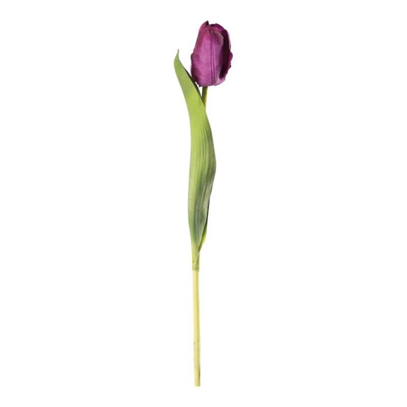 Tulip Purple 36cm