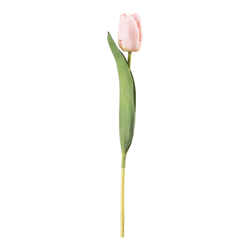 Tulip Rose 36cm