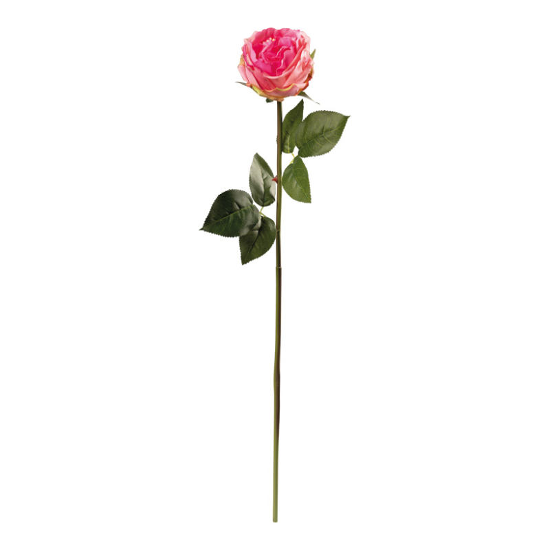 Pion 60cm Rosa/Grön