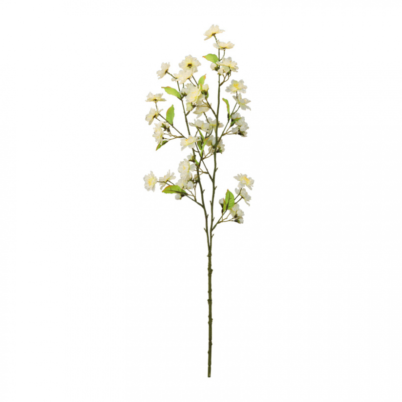 Körsbärsgren 85x20cm