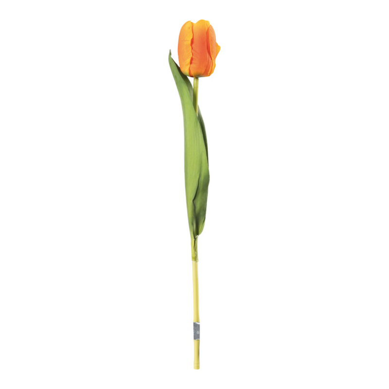 Tulip Orange 36cm