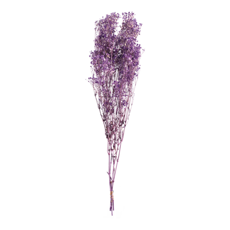 Dried flowers Purple 75-80cm