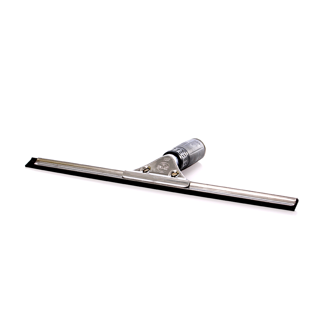 Fönsterrakel Unger, proffs