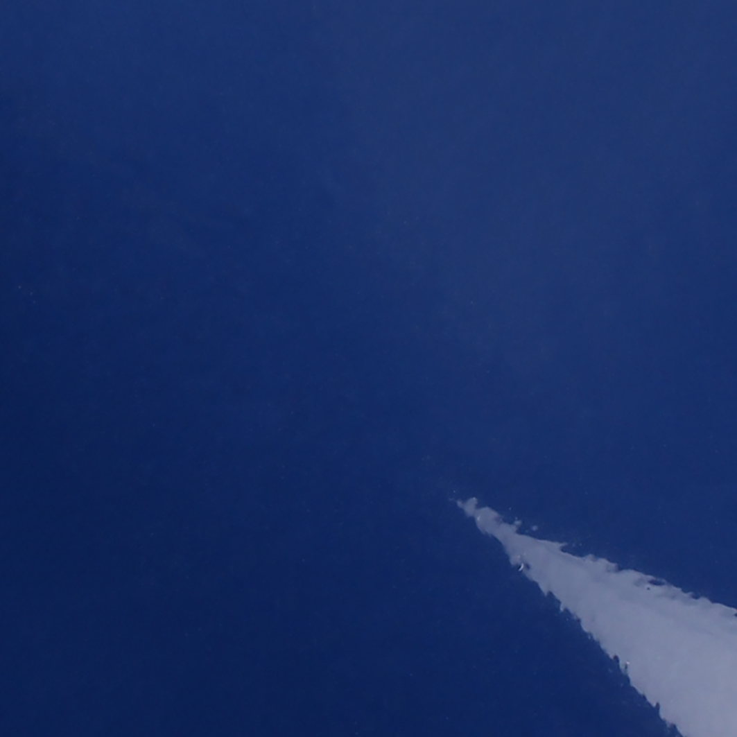 ORACAL® 970GRA+ 564 Light Navy