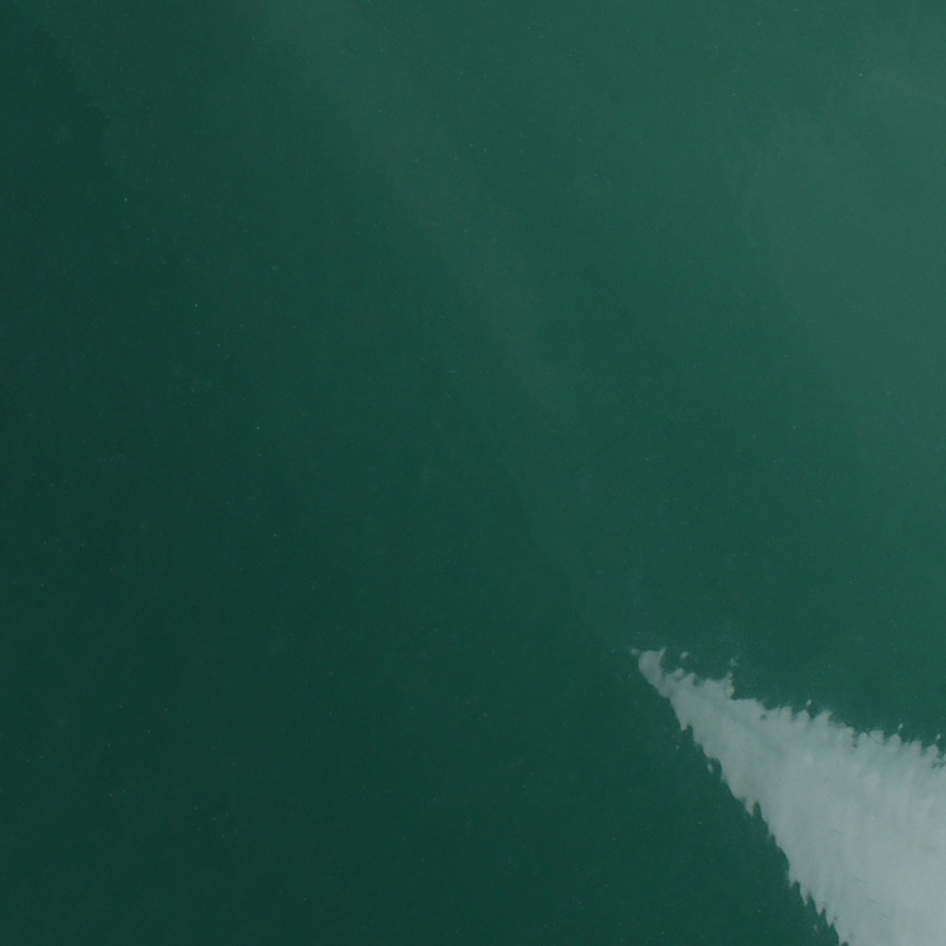 ORACAL® 970GRA 622 Fir Tree Green