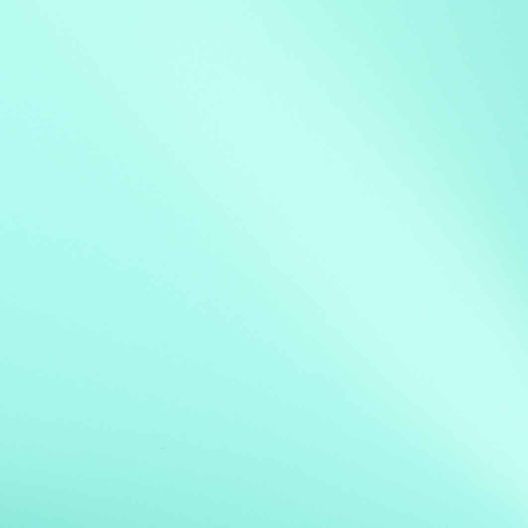 ORACAL® 970MRA 055 Matt Mint