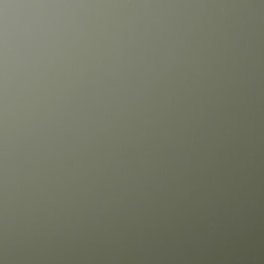 3M™ DI-NOC™ PS-2402MTRC Sage green