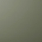 3M™ DI-NOC™ PS-2402MTRC Sage green