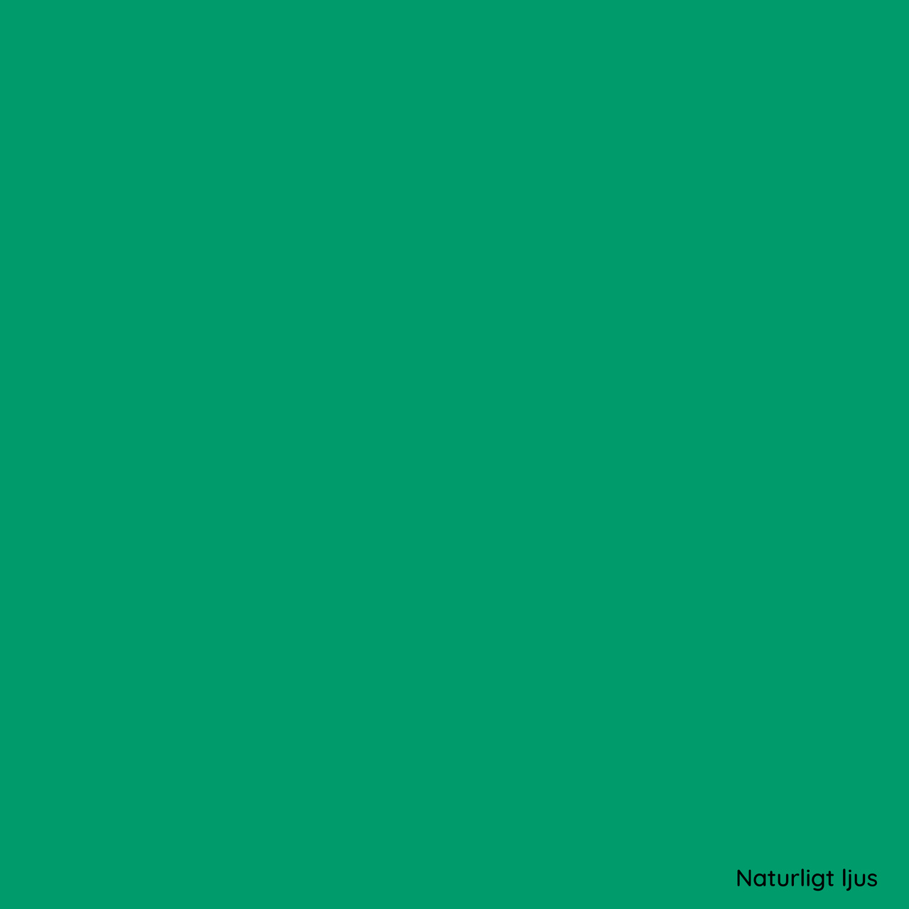 ORACAL® 8500 009 Middle Green