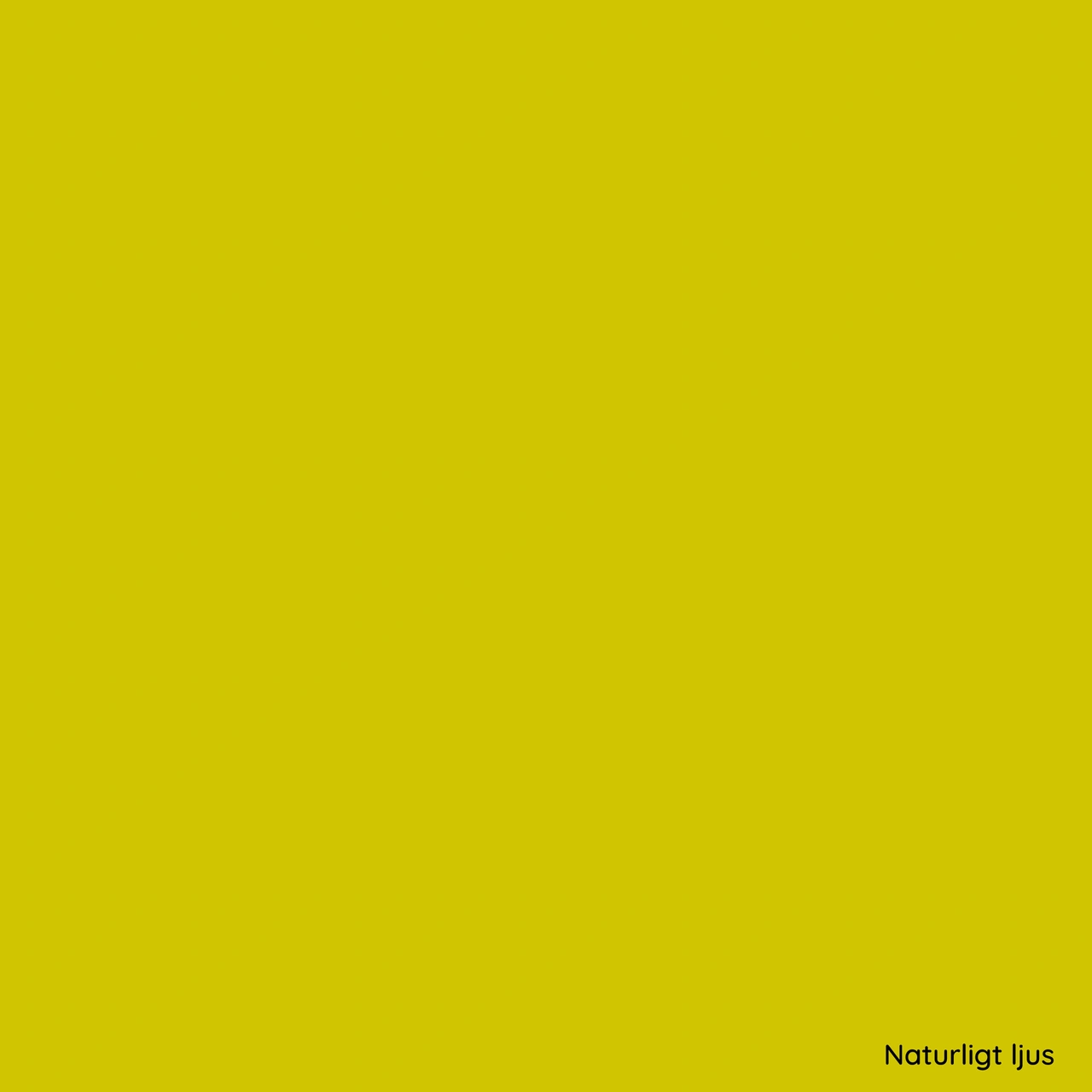 ORACAL® 8500 025 Brimstone Yellow
