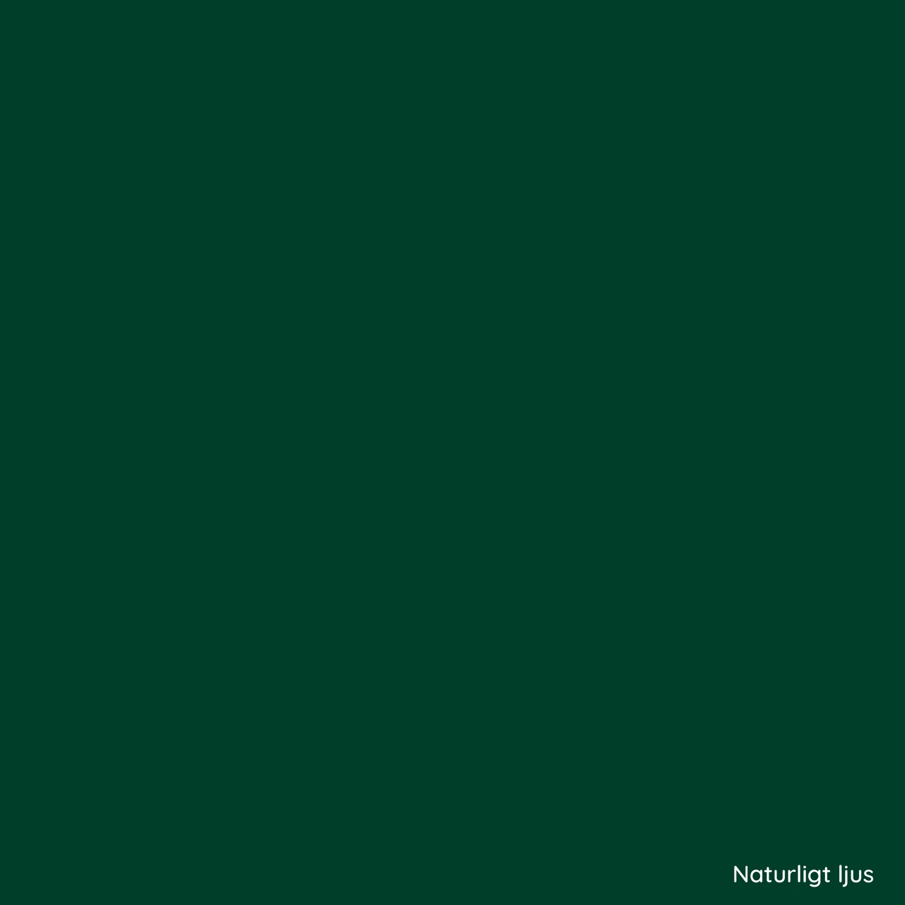 ORACAL® 8500 060 Dark Green