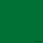 ORACAL® 8500 614 Reed Green