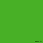 ORACAL® 8800 063 Lime-tree Green