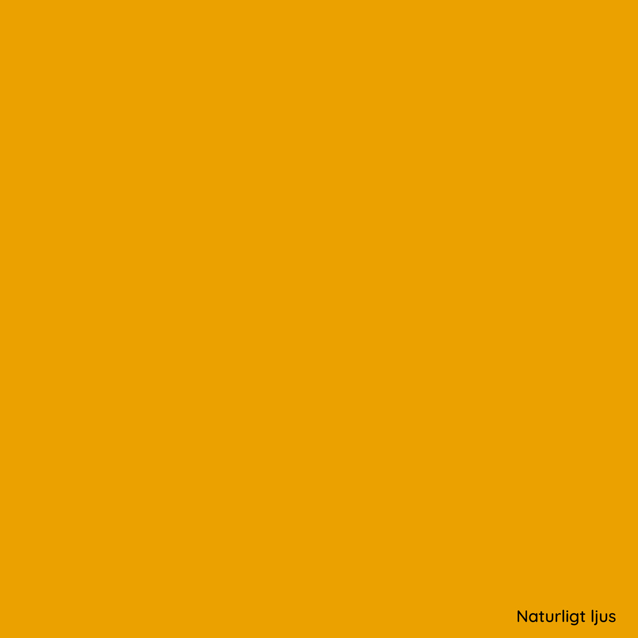 ORACAL® 8800 219 Yolk Yellow