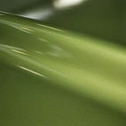 3M™ PWF-GP246 Gloss Iridescent Emerald Green