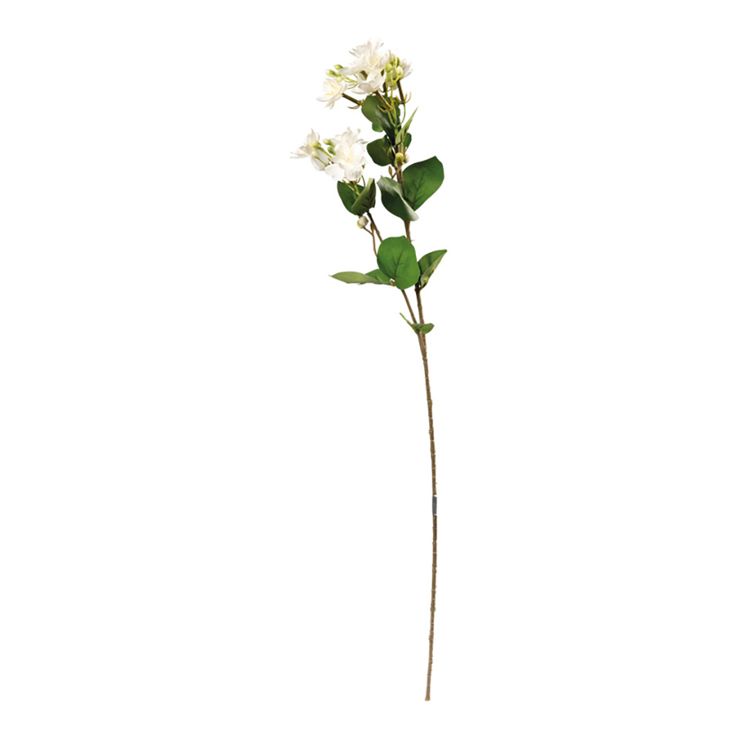 Jasminblomma 60cm vit