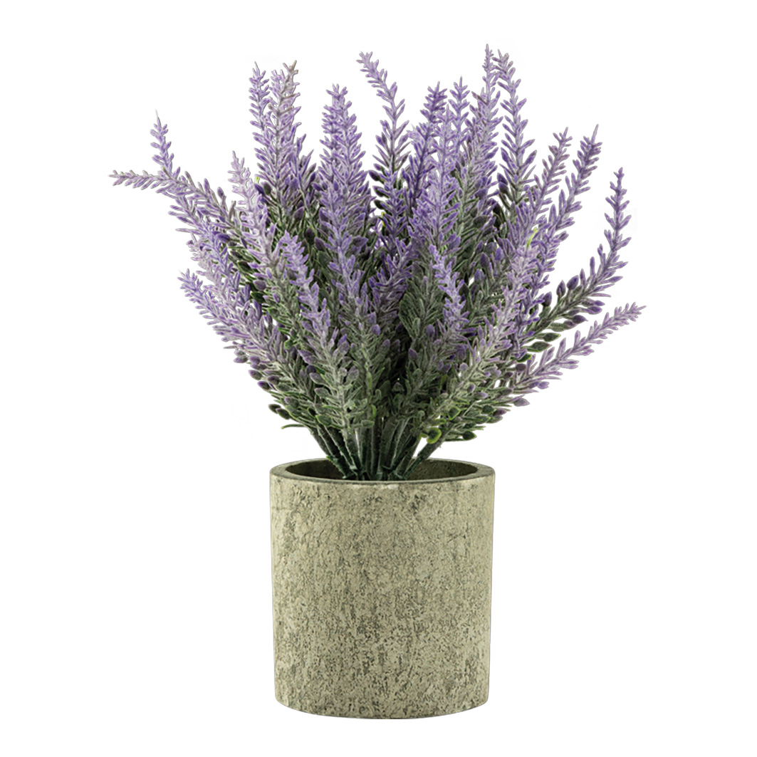Lavendel i kruka 22cm
