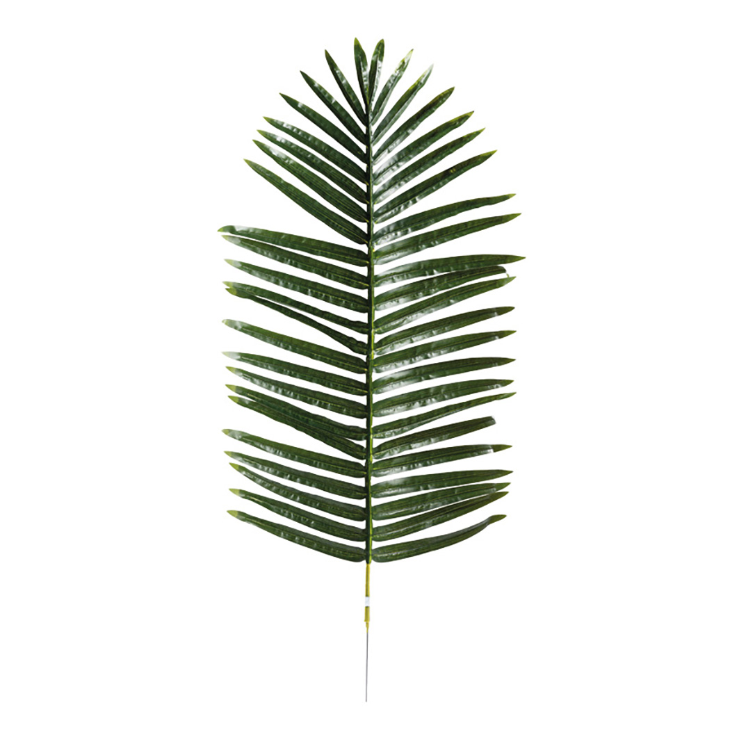 Palmblad 120x50cm 46blad grön