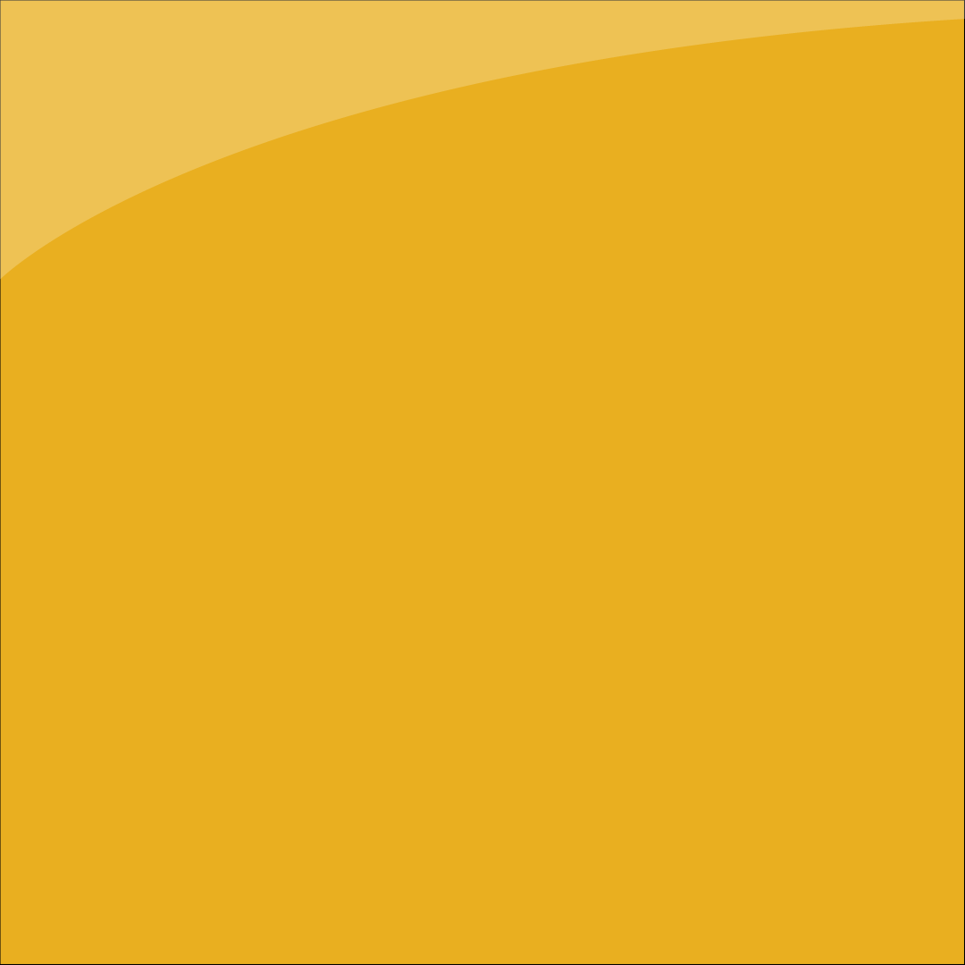 ORACAL® 651G 019 Signal yellow