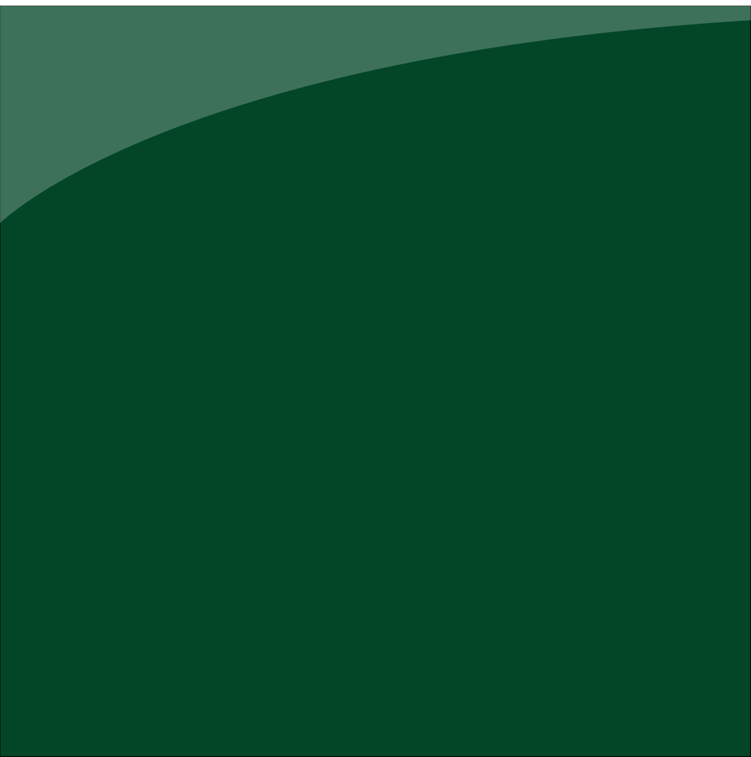 ORACAL® 651G 060 Dark green