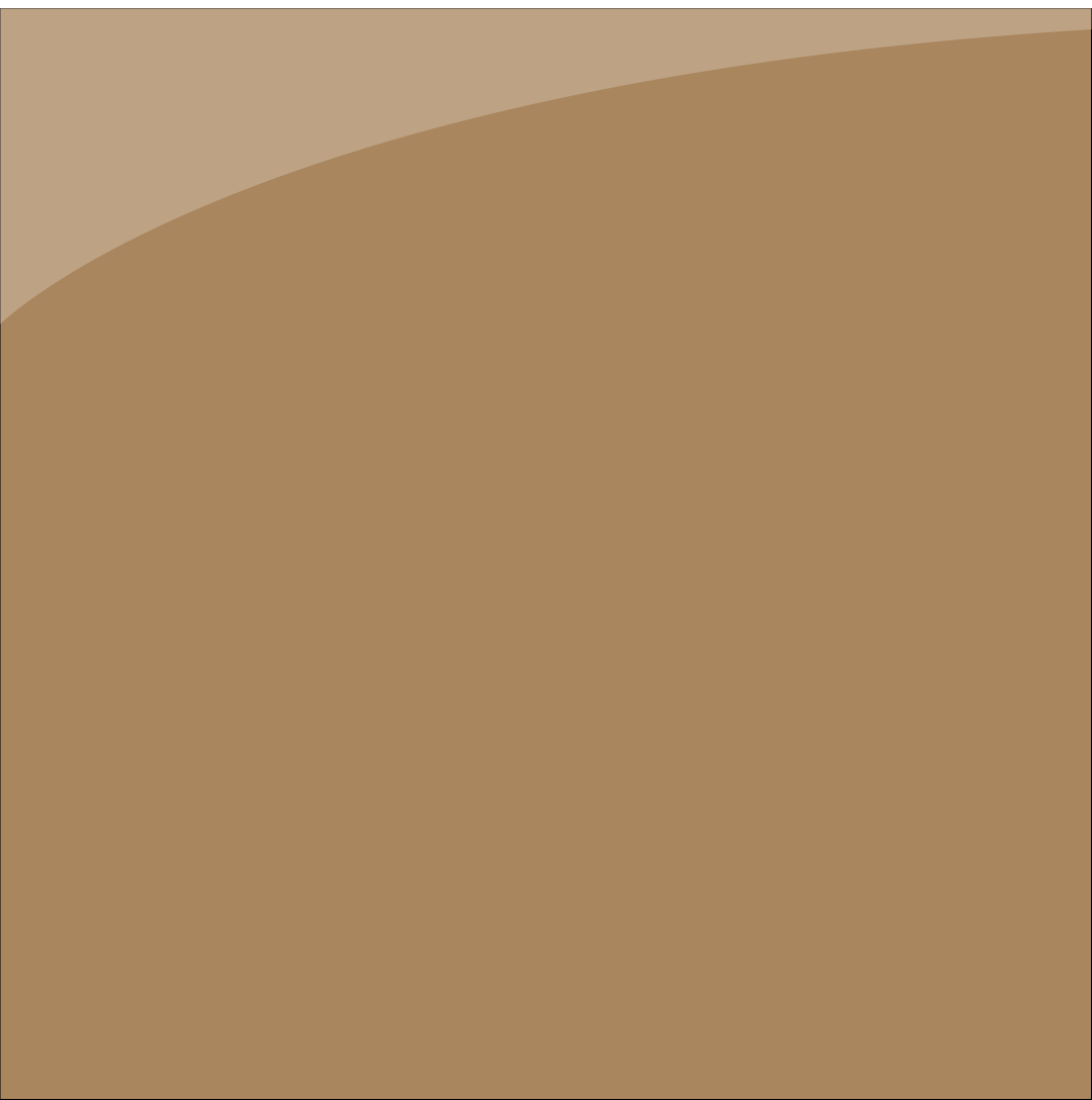 ORACAL® 651G 081 Light brown