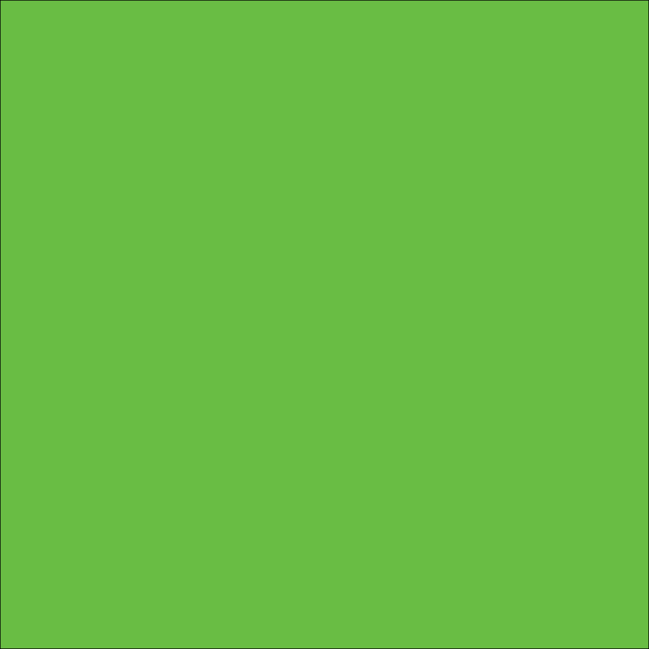 ORACAL® 651M 063 Lime tree