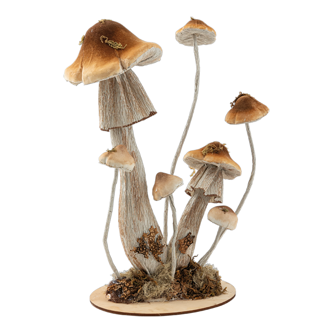 Svampar 7st/stam 34x25cm brun/vit