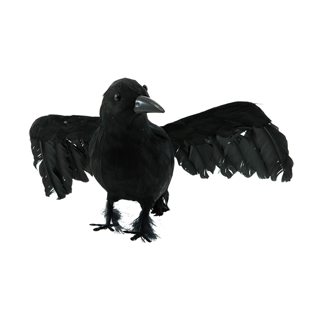 Kråka med utbredda vingar 38cm svart