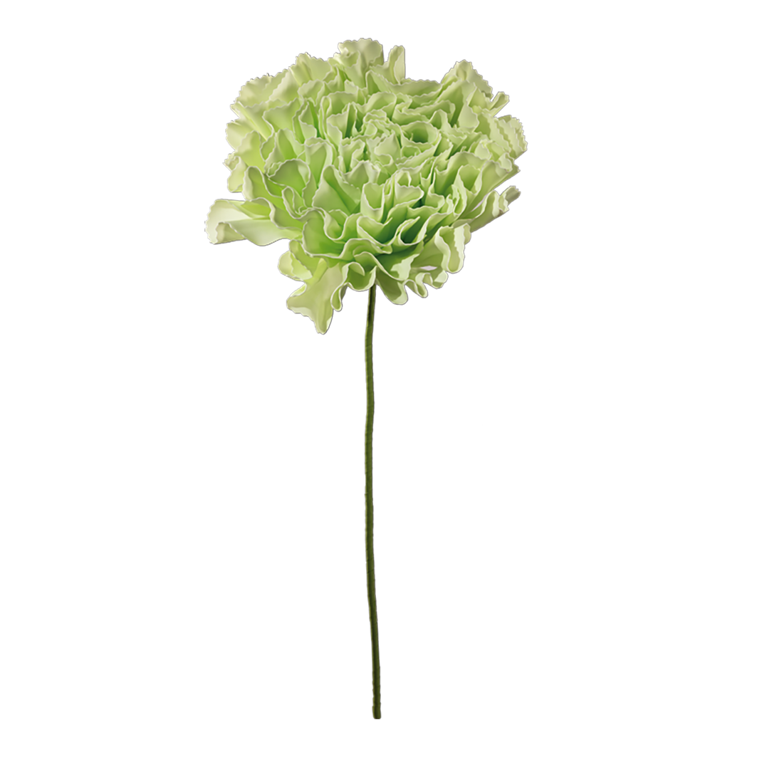 Nejlika 80x60cm Grön