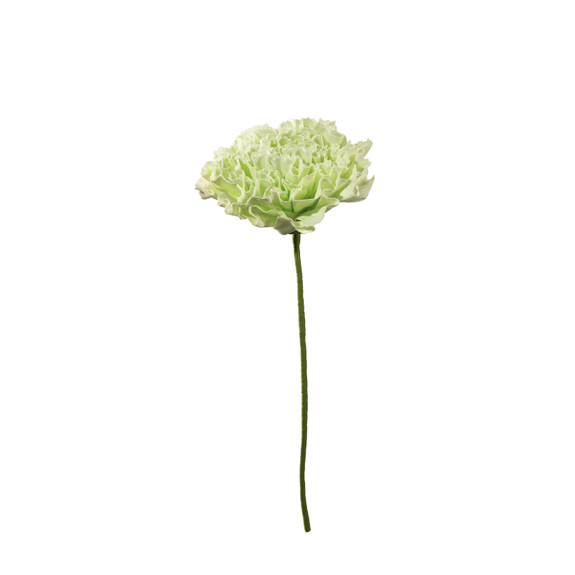 Nejlika 60x40cm Grön