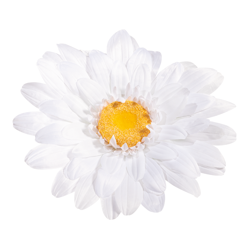 Prästkrage blomsterhuvud 40cm