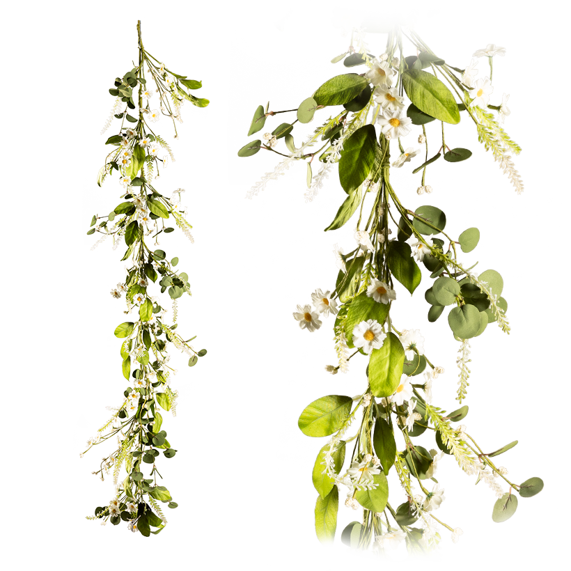 Prästkragegirlang 152cm