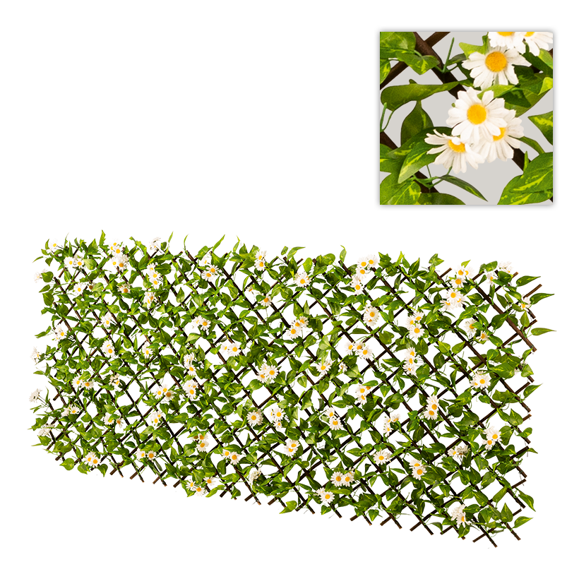 Staket med prästkragar utdragbart 90x180cm