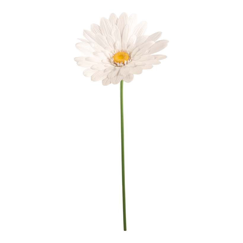 Prästkrage med stjälk 150cm vit