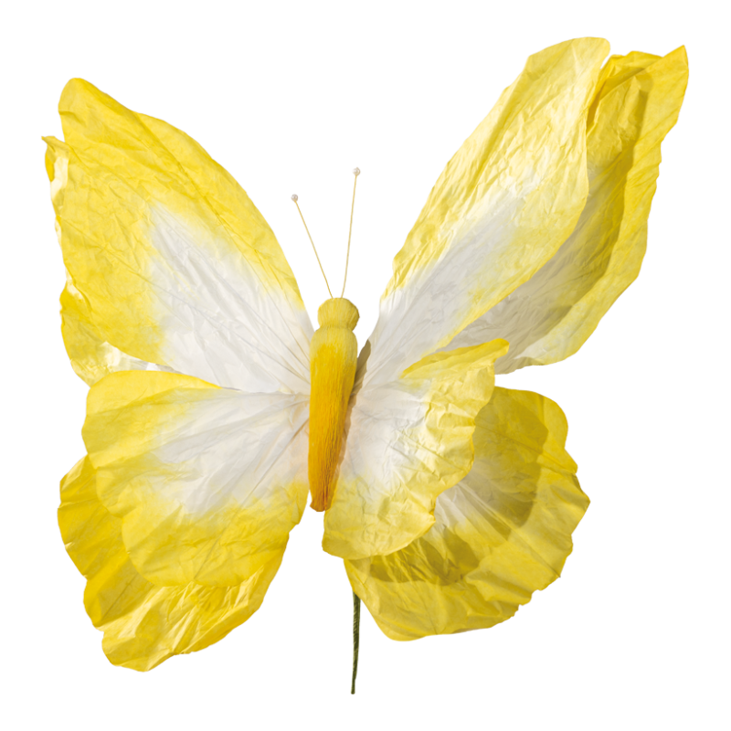 Fjäril 50x48cm gul/vit