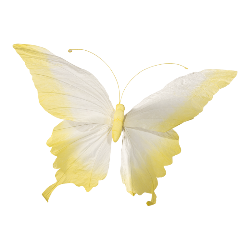 Fjäril 60x37cm gul/vit