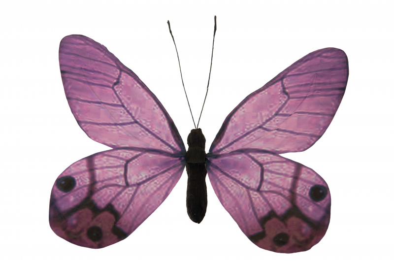 Fjäril 20x30 lila