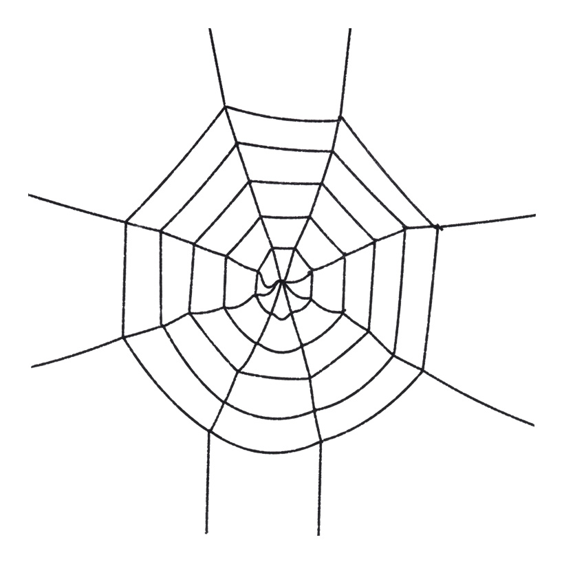 Spindelnät Ø160cm svart